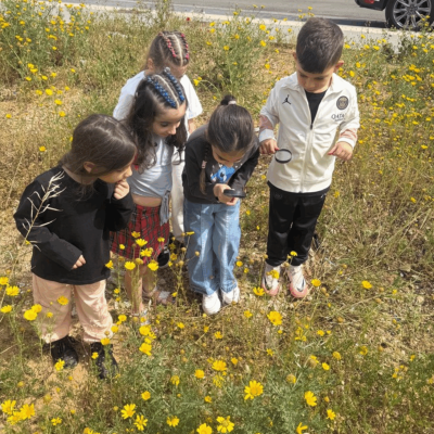יוצאים לחקור את הסביבה